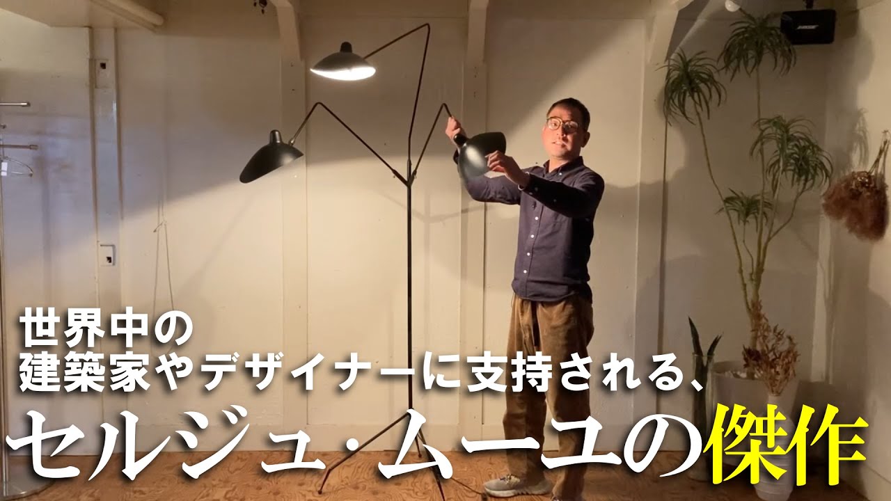 アグレッシヴな照明、昆虫、ナナフシである。】世界からの評価も高い