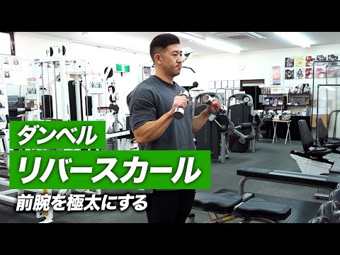 初心者】ダンベル・リバースカールのやり方 | 極太の前腕をつくる腕