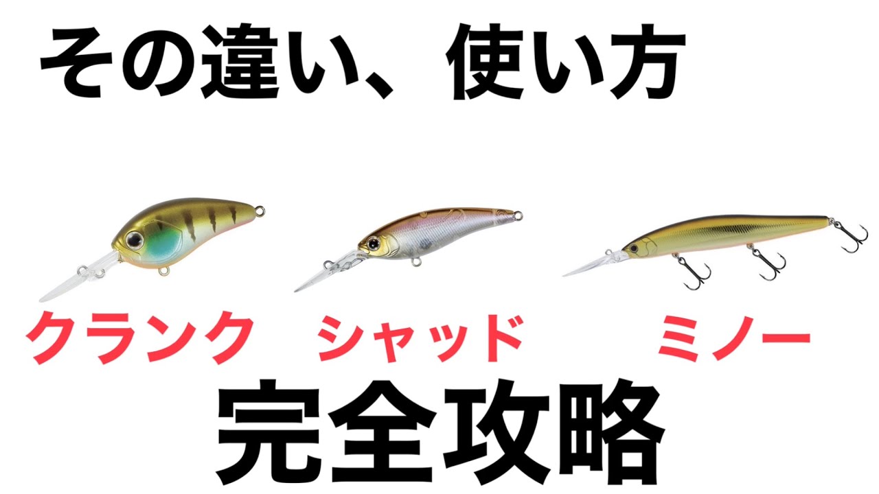 クランクベイト、ミノー、ジョイントベイト、ラバージグ、アラバマなど