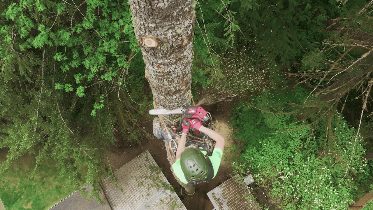 L4 NL400-301 JP｜Milwaukee REDLITHIUM ネックライト｜400ルーメン