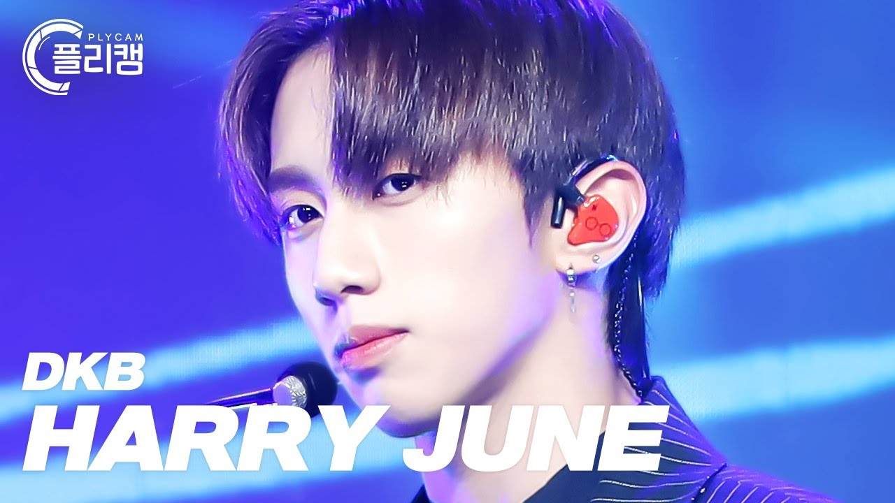 플리캠 4K] DKB HARRY JUNE '24/7(넌 매일)' (다크비 해리준 직캠) l