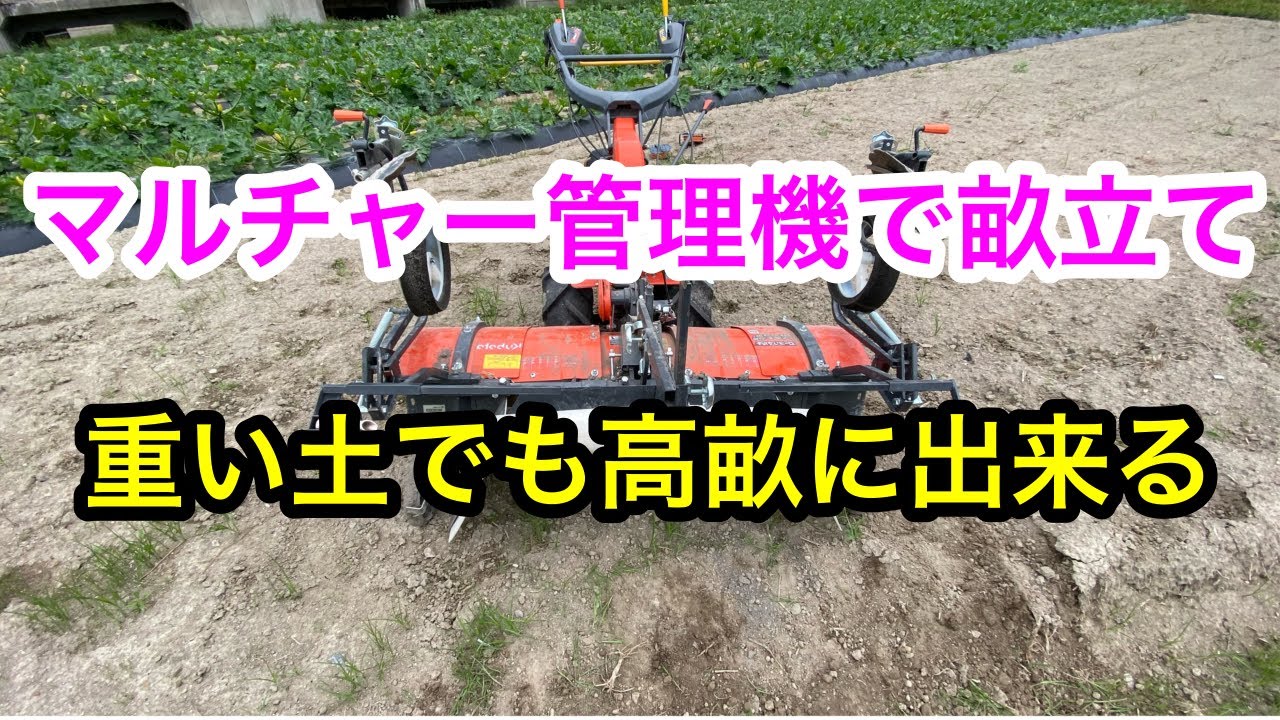 Mulcher] We used a cultivator to create ridges and lay mulch for