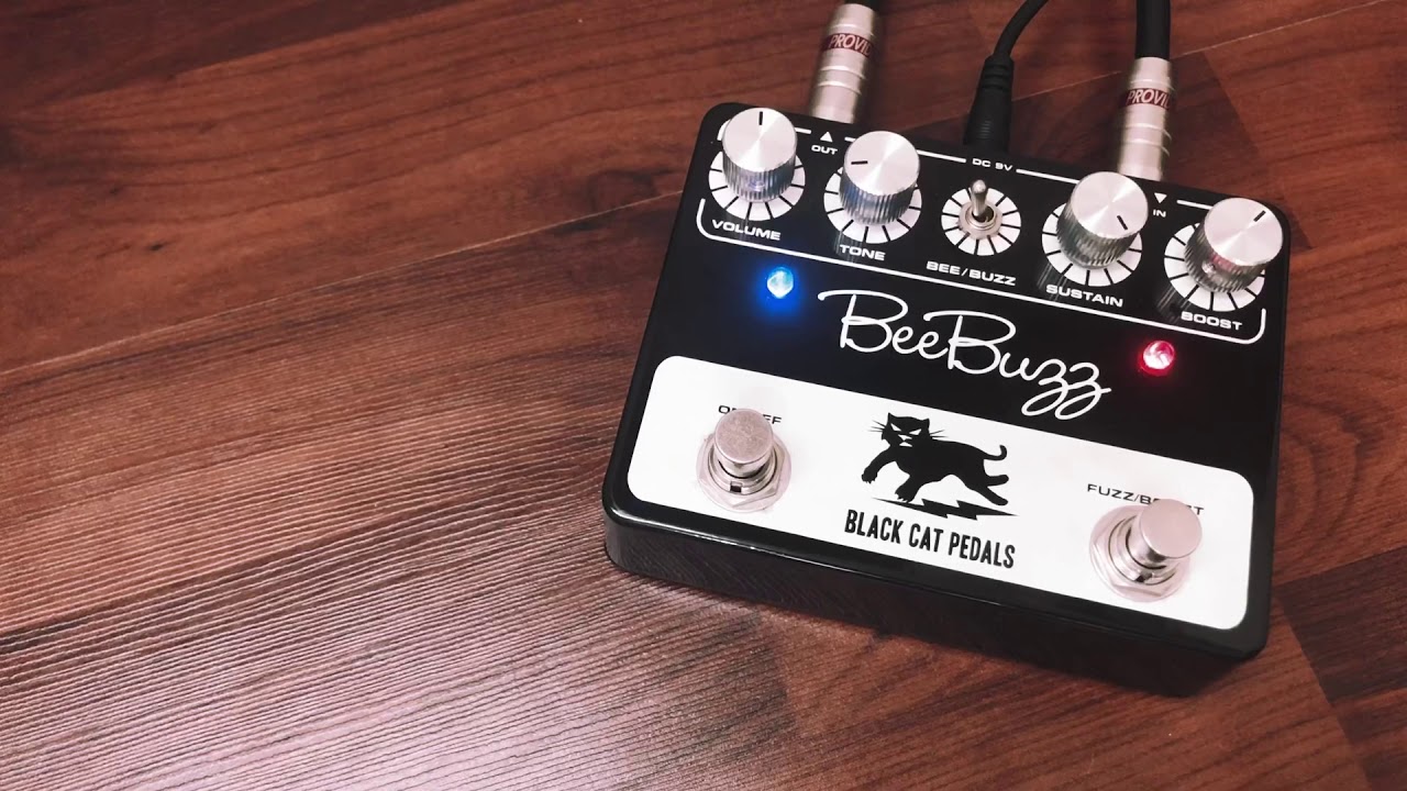 Black Cat / Bee Buzz | EFFECTORPRESS(エフェクタープレス)