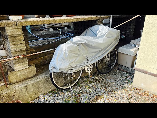 My sister has been neglecting her bicycle since she became a high