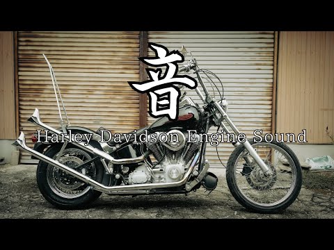 ハーレー ナックル フィッシュテールマフラー 2in1 hd-parts_1800-2333