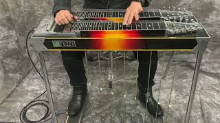 ペダルスチールギター Fuzzy Excel | RGS Guitar School