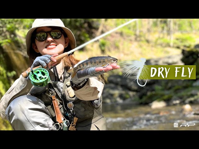 Explosive Dry Fly Action: Fly Fishing in Early Summer Streams