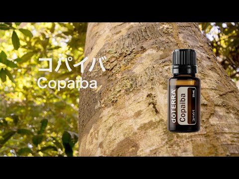 コパイバ - doTERRA TIMES