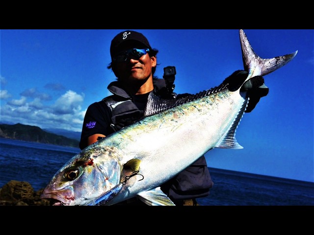 ミュートス ソニオ100M RG おまけブルーフィッシュ付き(11/25迄) ZENAQ