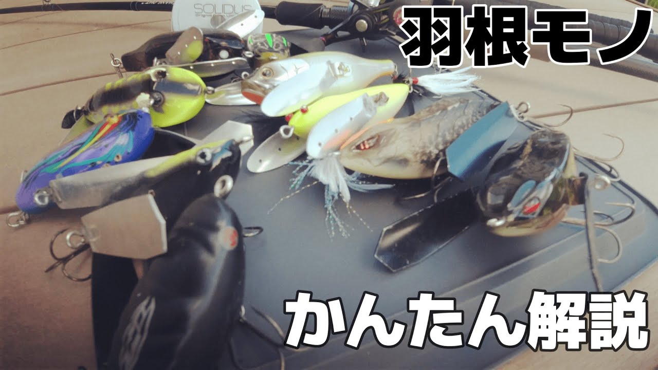 羽根モノルアーで釣るタックル紹介します【トップウォーター