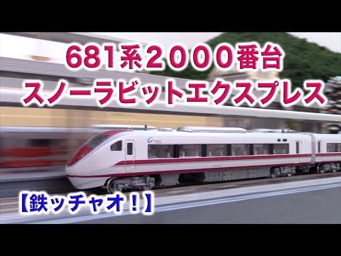 Nゲージ・鉄道模型『681系2000番台スノーラビットエクスプレス9両