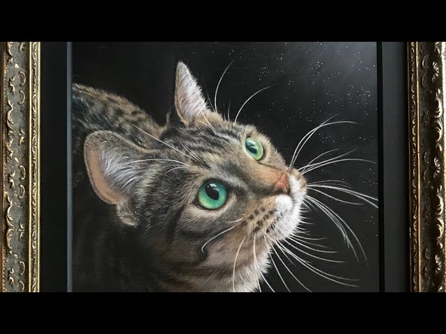 色鉛筆画（キジトラ猫）の描き方 - YouTube