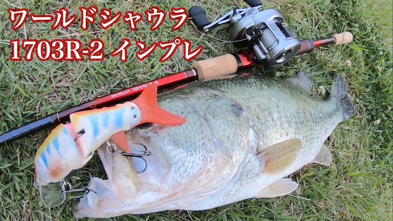 ヘビーバーサタイル最高峰！NEWワールドシャウラ1703R【実釣インプレ