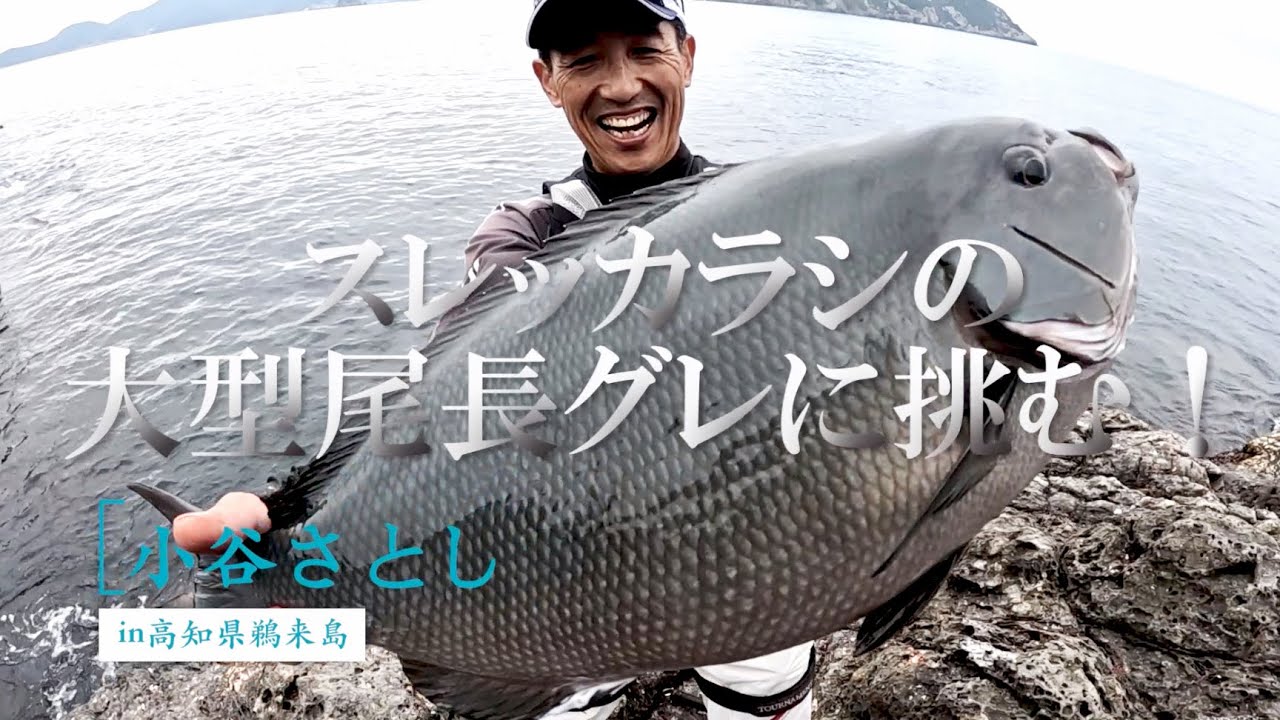 水島2番の奥奥で大型尾長グレを打ち取る!! - YouTube