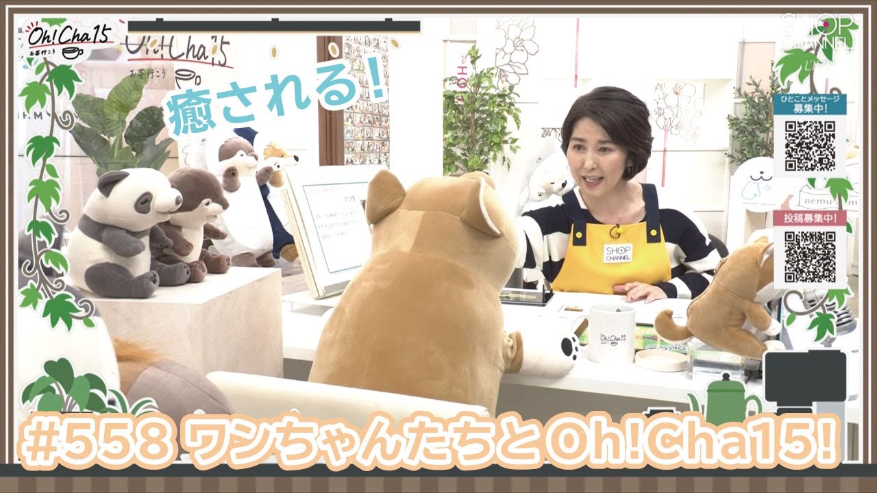 ちゃちゃ様専用 ちゃちゃさま専用 ちゃ 様用 ちゃ 様用 ZX｜製品紹介