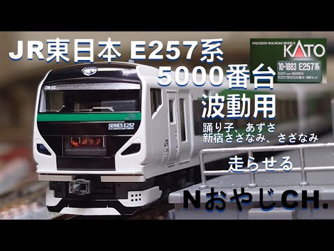 JR東日本 E257系5000番台 波動用〈KATO 10-1883〉 n scale 走らせた JR