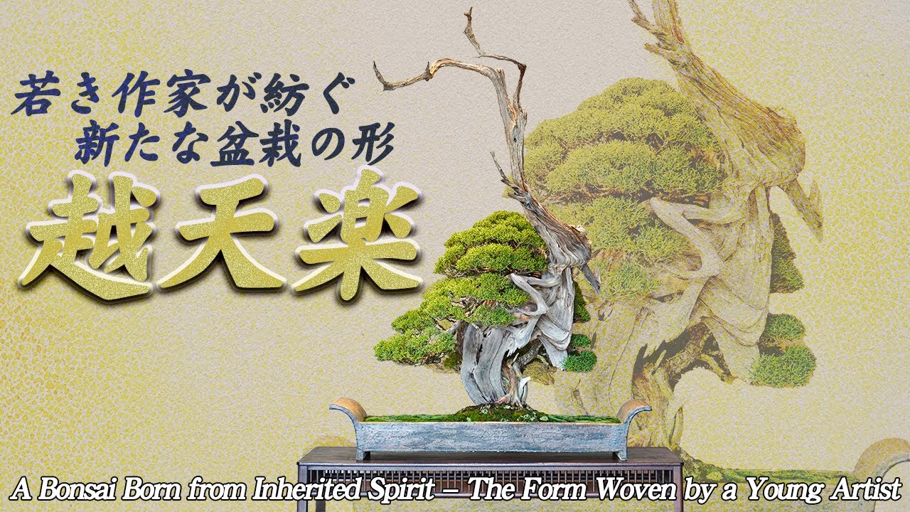A Bonsai Born from Inherited Spirit – The Form Woven by a Young