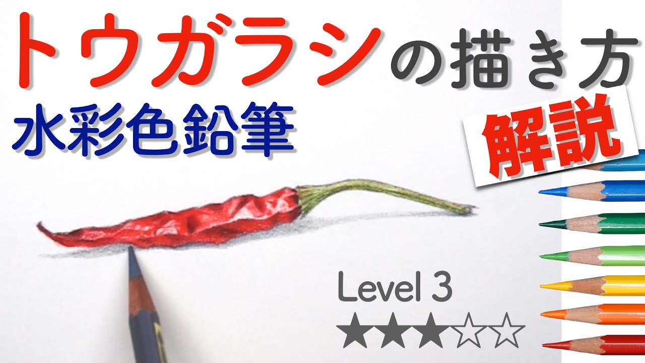 簡単で楽しい!【水彩色鉛筆】Level3トウガラシの描き方 How to Draw a