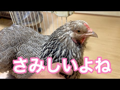 Being alone - YouTube