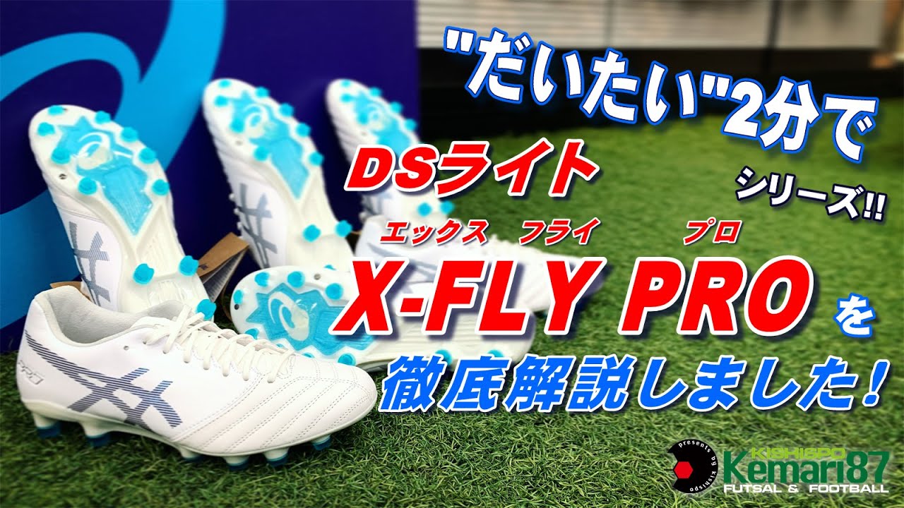DSライト X-FLY PRO ホワイト×グリーンゲッコ | ゲキサカFCストア