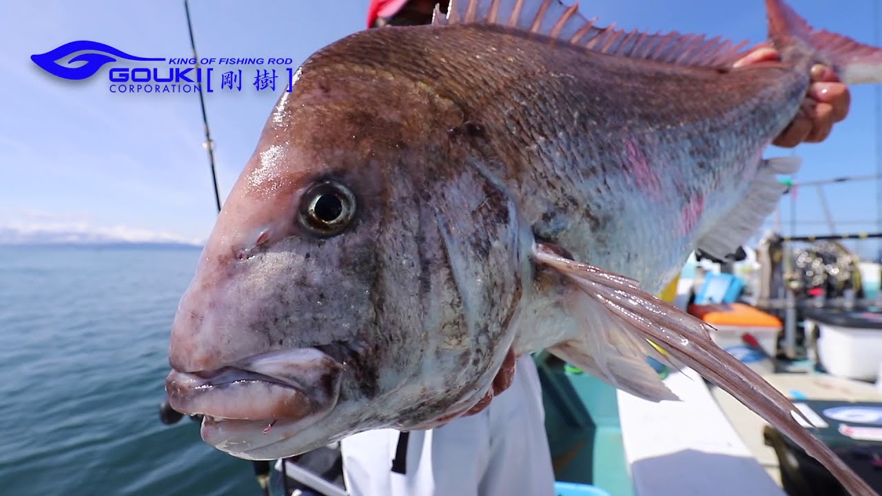剛樹アルティスタ真鯛 gouki 公式 剛樹goukiアルティスタ真鯛