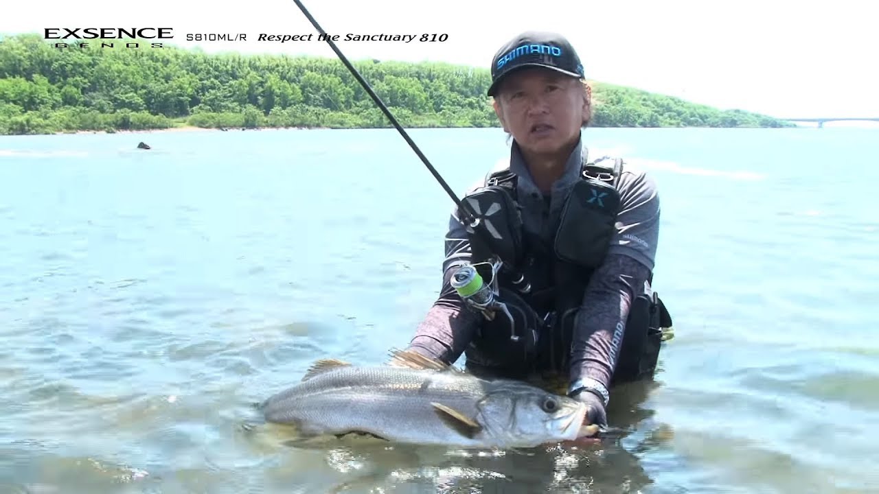 エクスセンス ジェノス 810ml ジャンク 18エクスセンスジェノス S810ML