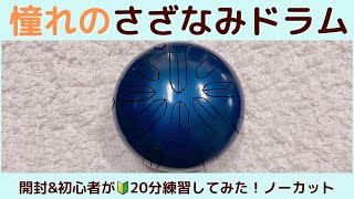 さざなみ楽器工房 さざなみドラム 大型 凪 青色 キャリングケース付き