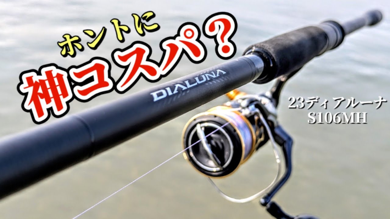 正直レビュー】23ディアルーナS106MHを