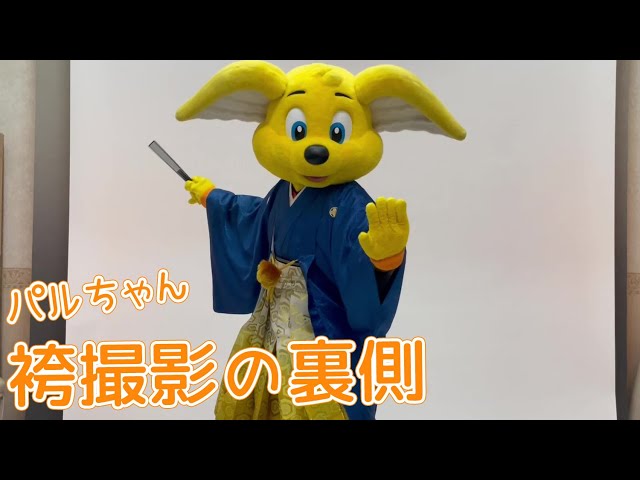 パルちゃん 袴撮影の裏側 | 清水エスパルス公式 - YouTube