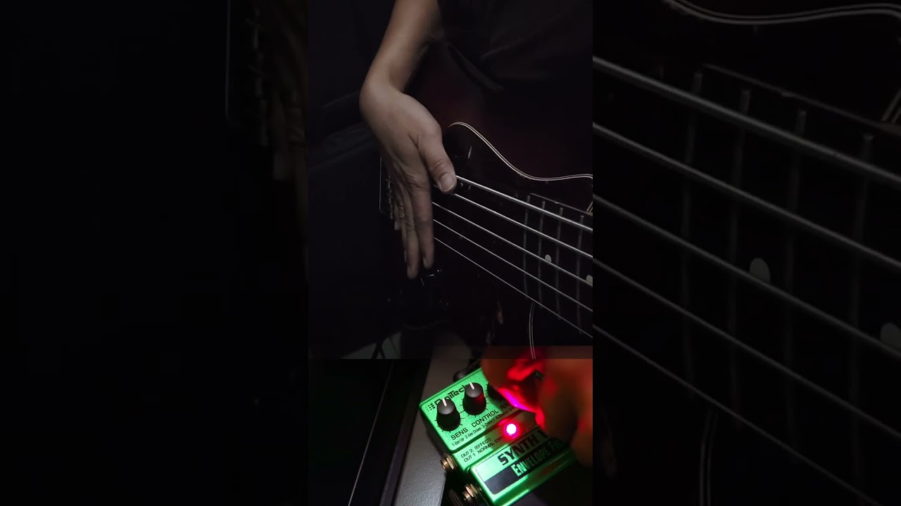 Digitech Synth Wah Envelope Filter (Bass Demo) - YouTube