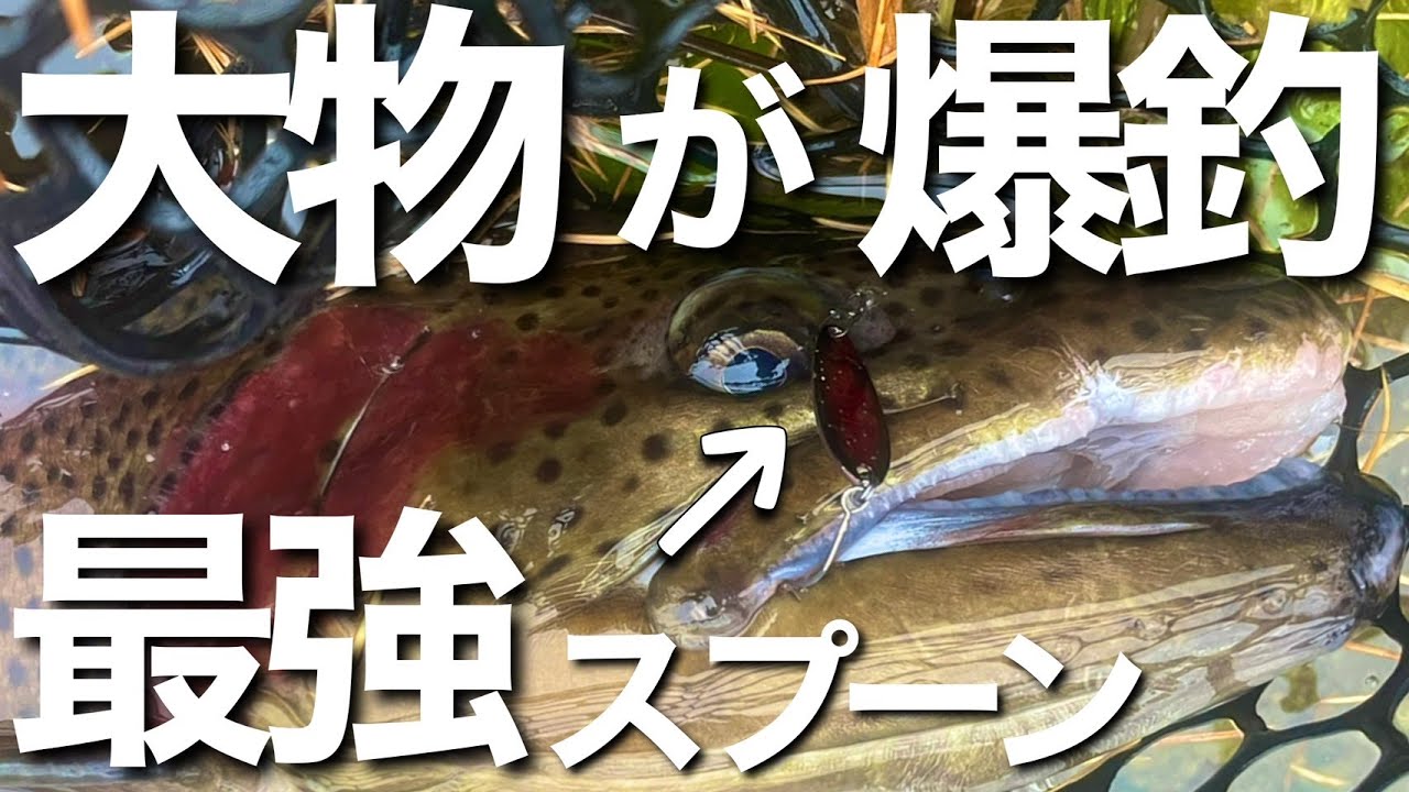 スイッチバックで大物爆釣！どんなトラウトでも釣れる最強スプーンを