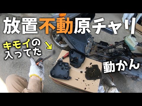 A crack in the genitals The fate of a guy who cut corners on