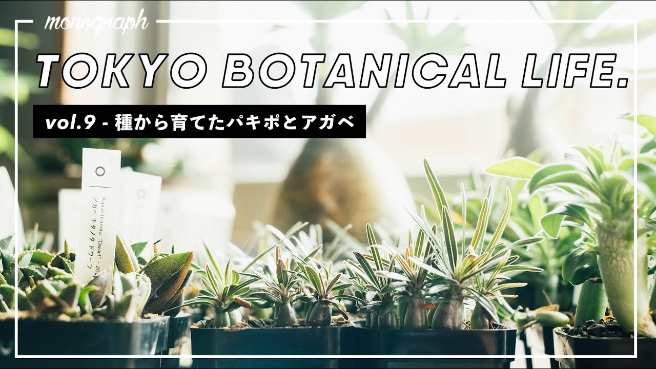 TOKYO BOTANICAL LIFE - vol.9 Pachypodium gracilis and Agave