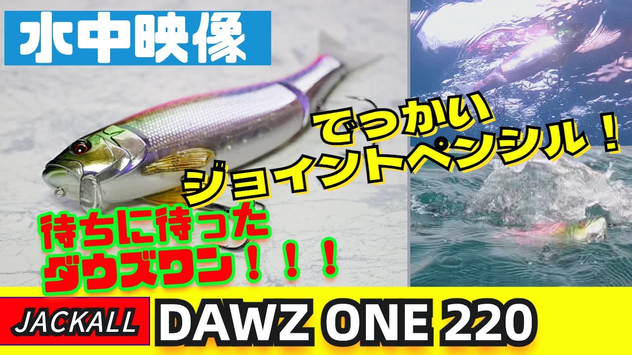 水中映像】ついに発売したダウズワン220！メガドッグとはまた違った