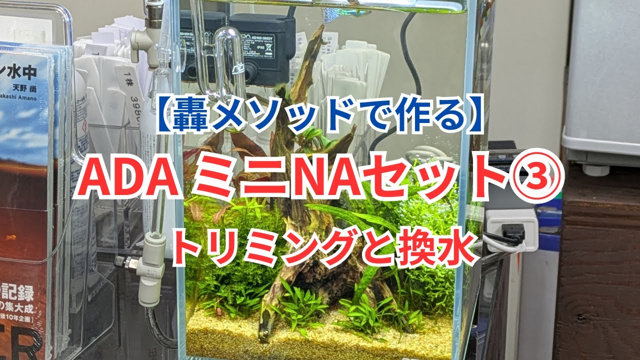 ADA Mini NA Set Maintenance] Trimming and water changes - YouTube