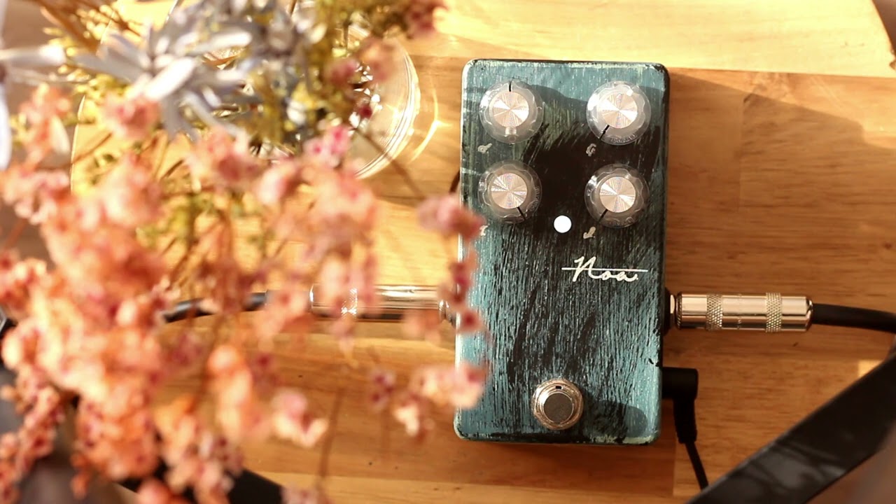 Petla] Creator's guide to Noa 