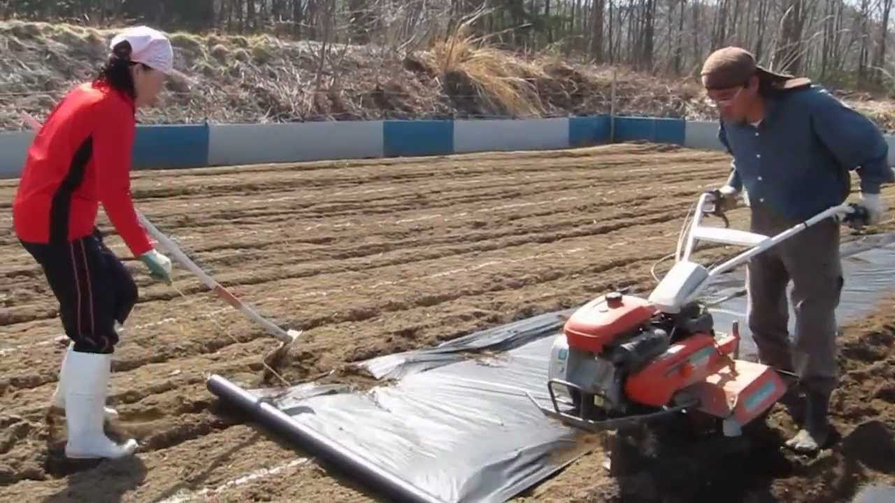 一輪管理機を使って、楽々マルチ張り - YouTube