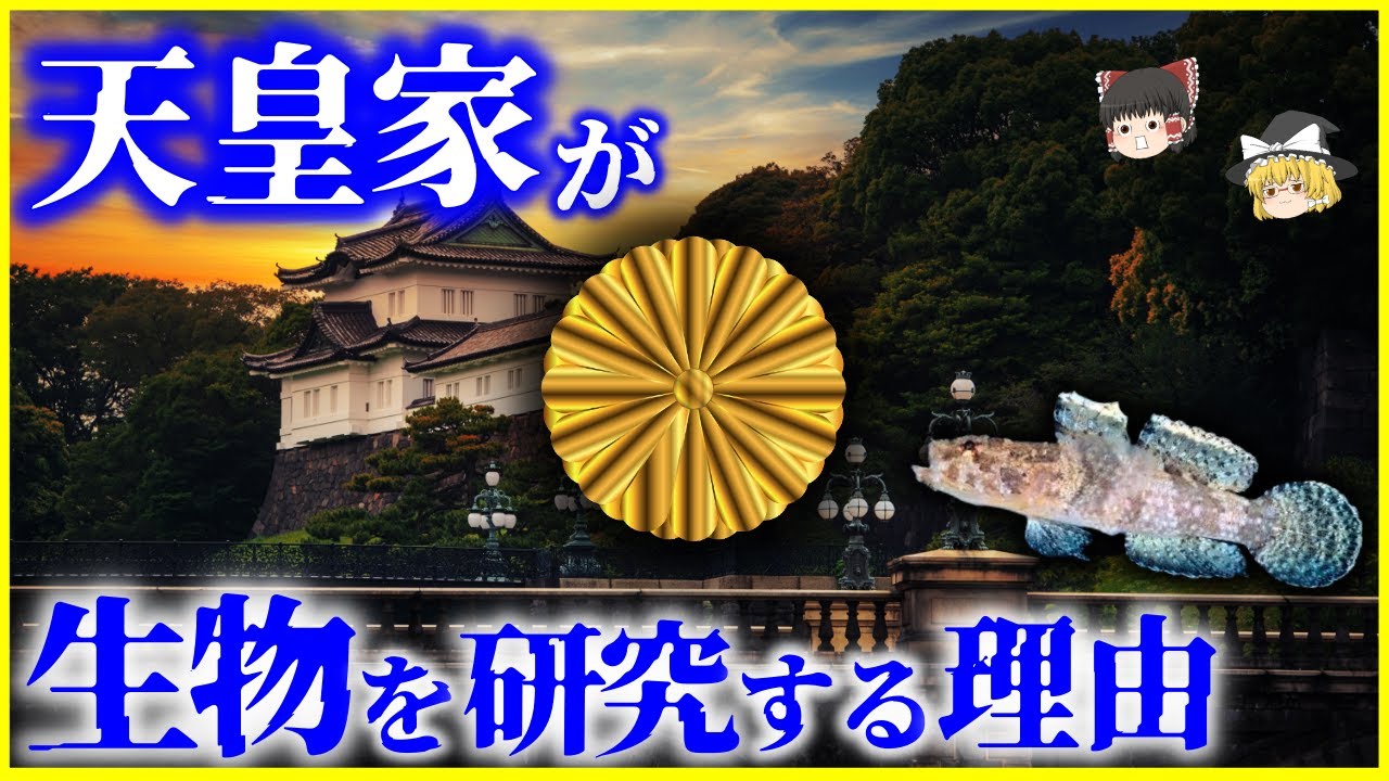 ゆっくり解説】天皇家は何故生物の研究をするのか？を解説/上皇陛下が