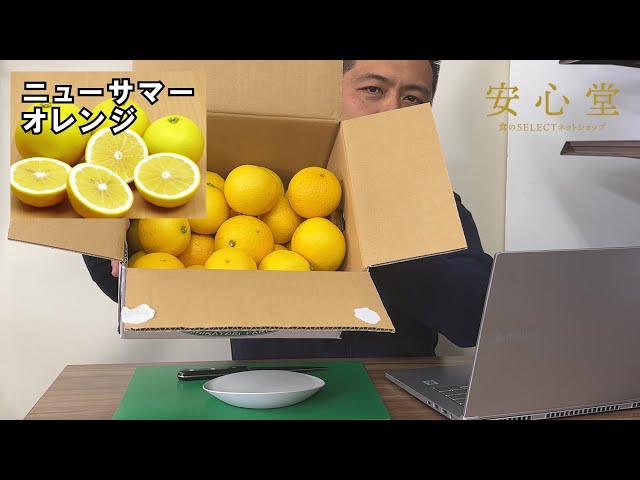 安心堂】白鳥農園ニューサマーオレンジを実食！東伊豆の名産品。甘くて