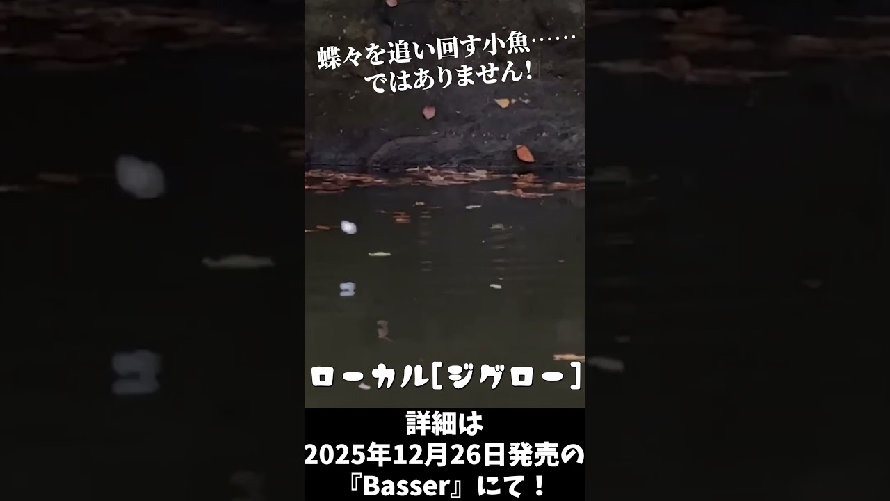Basser】蝶に夢中な小魚！？#ジグロー[ローカル] #basser #shorts