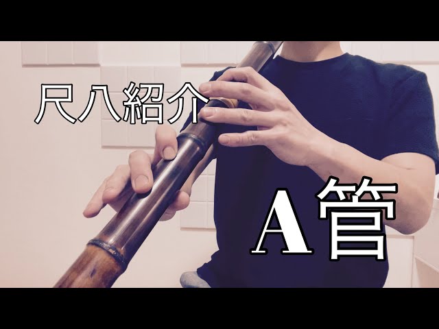 尺八紹介 翔童銘 A管 二尺四寸管(二尺三寸管) 琴古 - YouTube