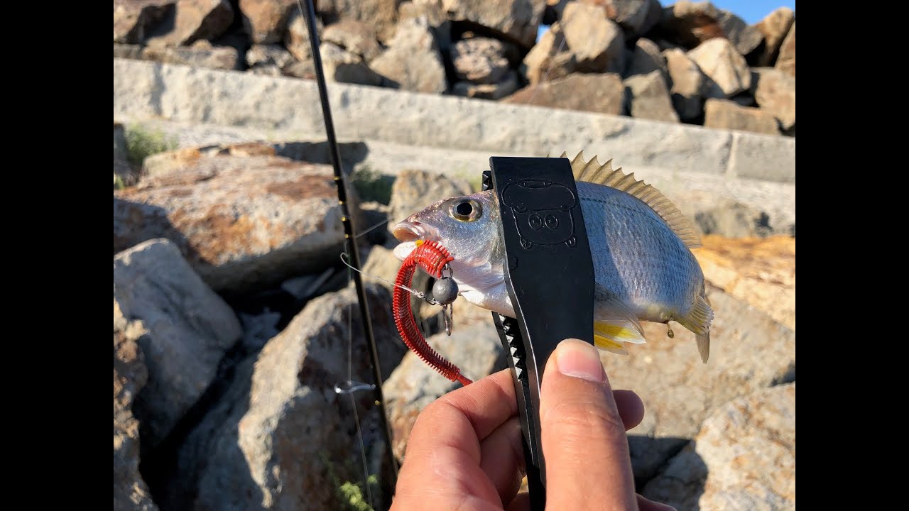 Best Travel Rod for Finesse Fishing : Abu Garcia XROSSFIELD XRFS