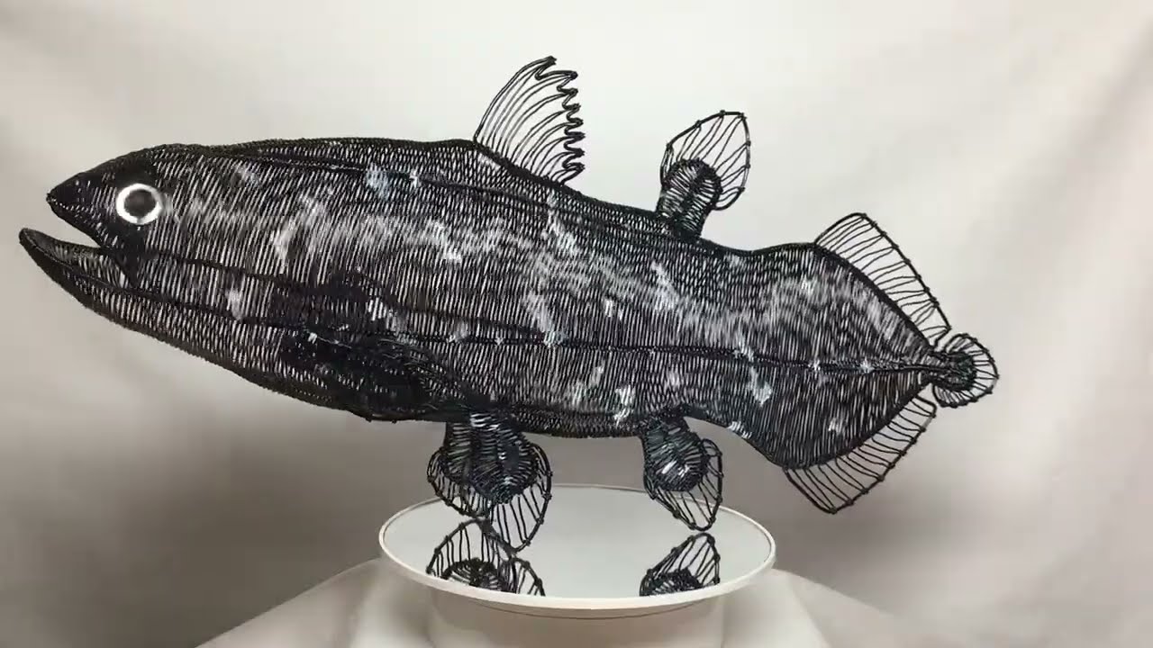 シーラカンス（立体ワイヤークラフト） - YouTube