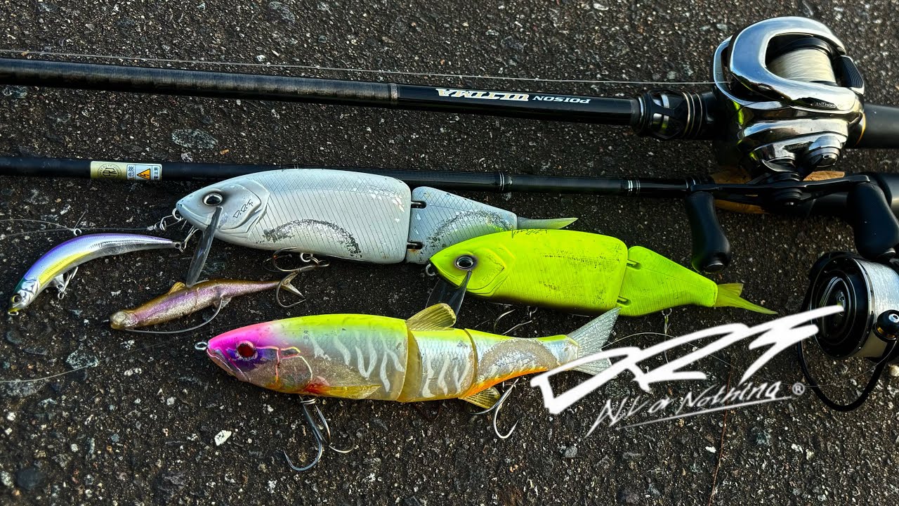 野池&水路でバス釣り】シーバスシーズンイン前に、DRTのタイニー初