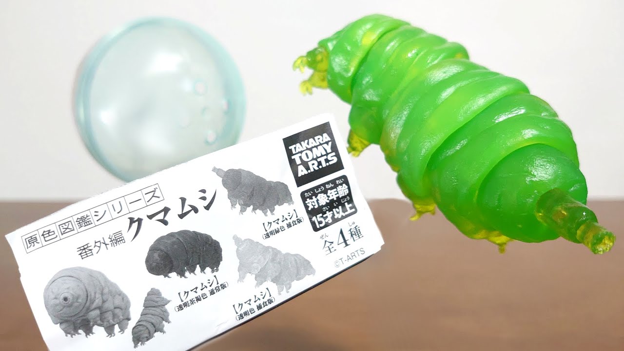 A tardigrade becomes a figure!) Primary Color Encyclopedia Series