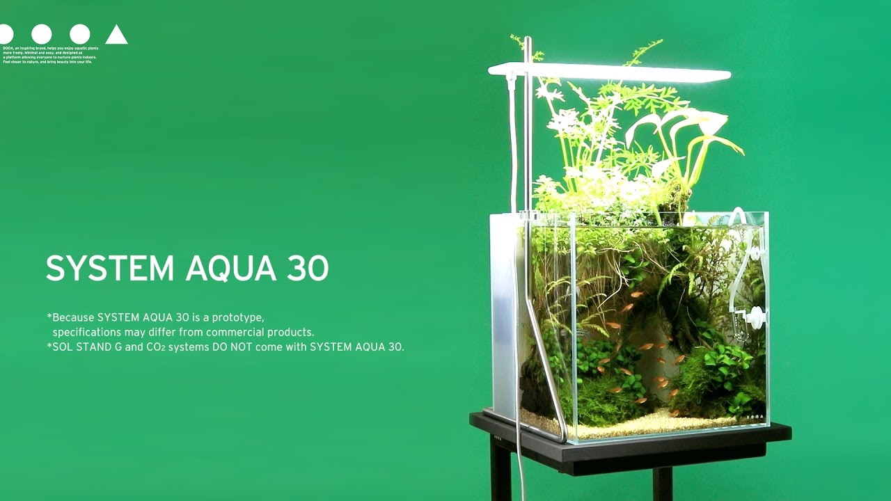 ADAview] DOOA System AQUA30 Layout Making - YouTube
