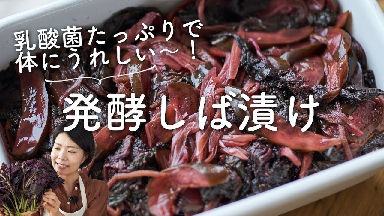 Full of lactic acid bacteria!] Recipe and instructions for