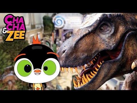 ChaCha & Zee Explore | Full Episodes - YouTube