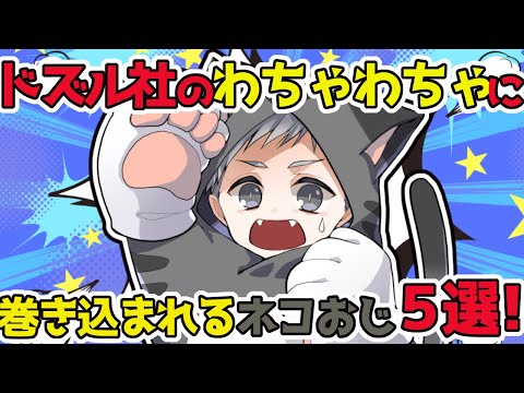 ドズル社メンバーのわちゃわちゃに巻き込まれがちなネコおじ5選