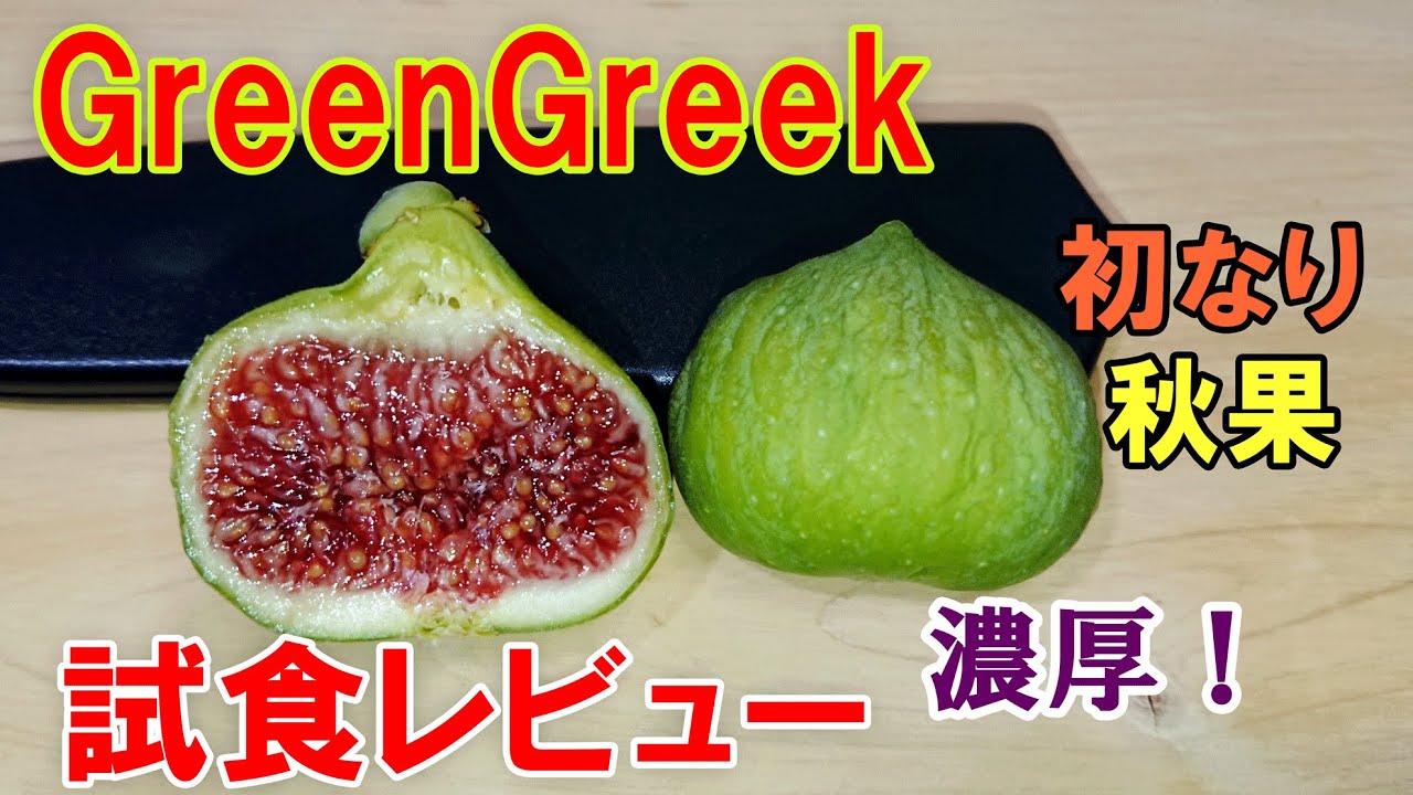 グリーングリーク(GreenGreek) 初なり秋果の試食レビュー - YouTube
